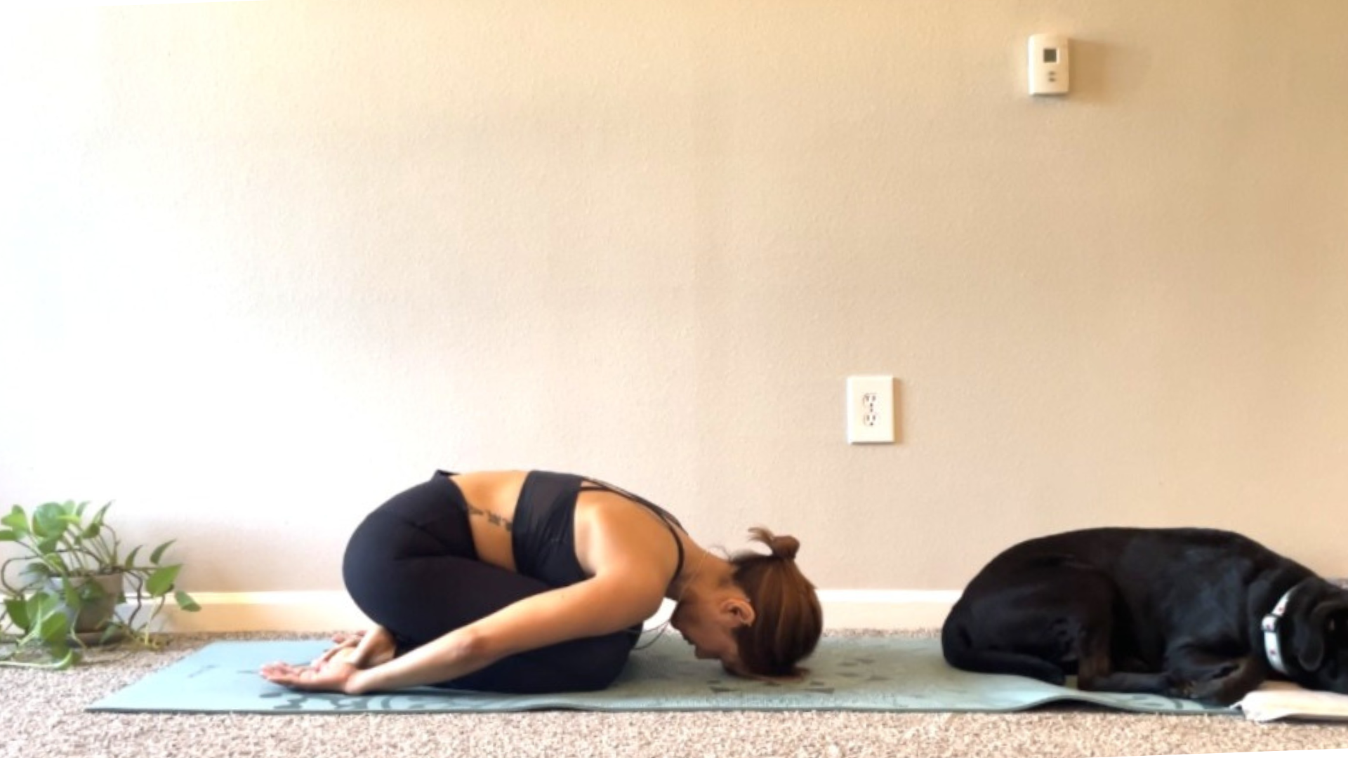 Breathing and Movement Techniques That Lower Stress in Minutes