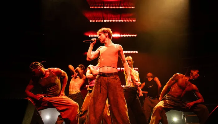 Troye Sivan’s ‘She’s the Best’ Rewrites Pop Romance With Star Power