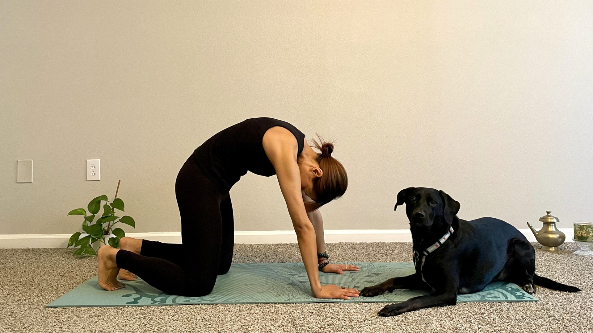Breathing and Movement Techniques That Lower Stress in Minutes