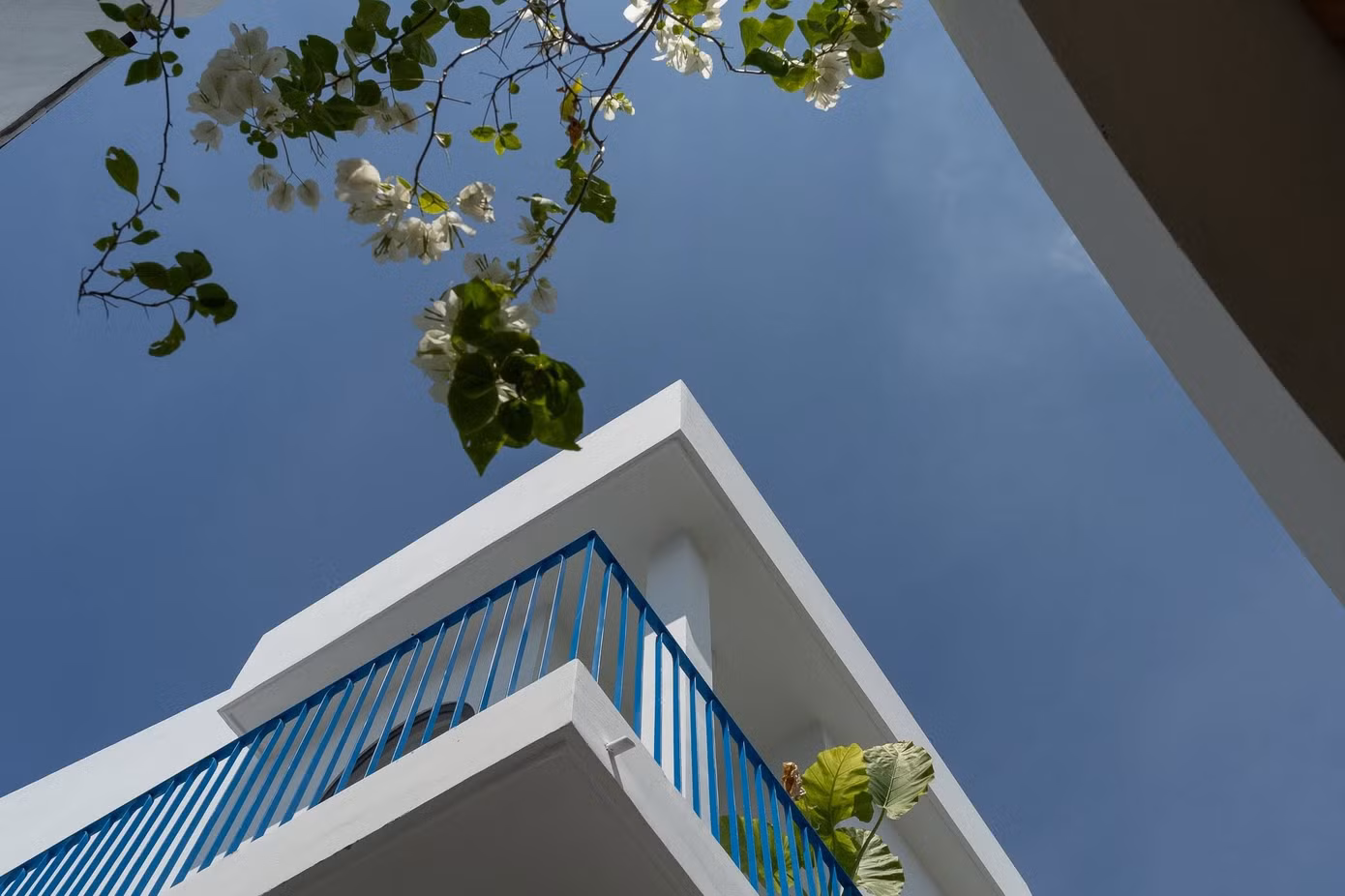 Biến nhà phố cũ thành không gian thoáng đãng nhờ vườn và ánh sáng tự nhiên