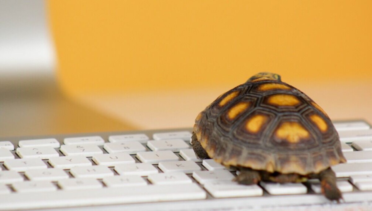 KDE Plasma LTS Signals a Serious Push Toward Desktop Stability