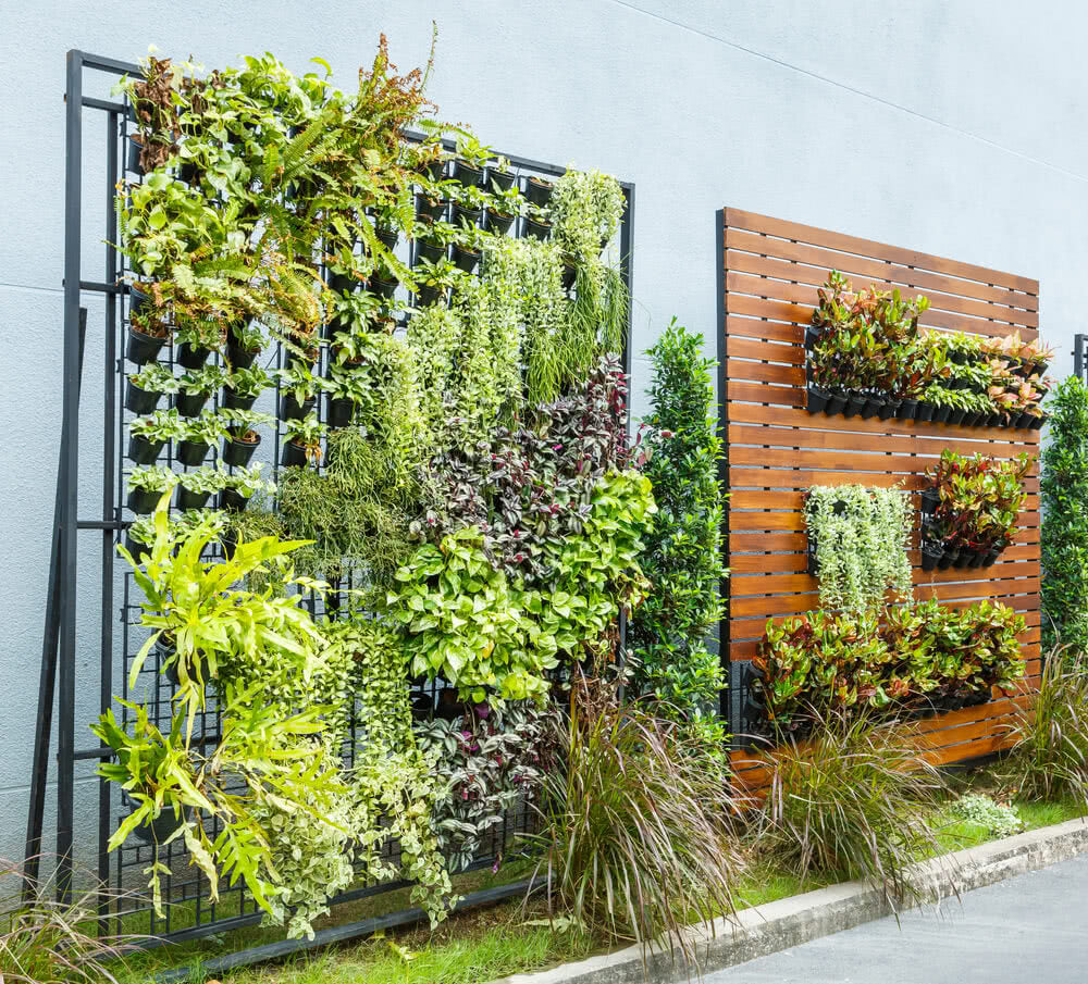 How to Design and Install a Living Plant Wall That Thrives