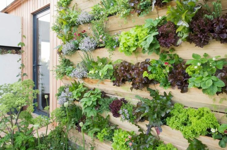 How to Design and Install a Living Plant Wall That Thrives