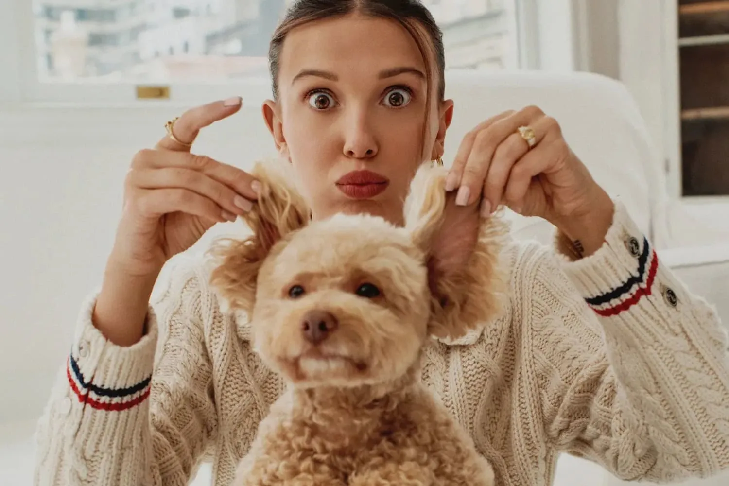 Celebrity Pet Brands Are Going Mainstream in Luxury
