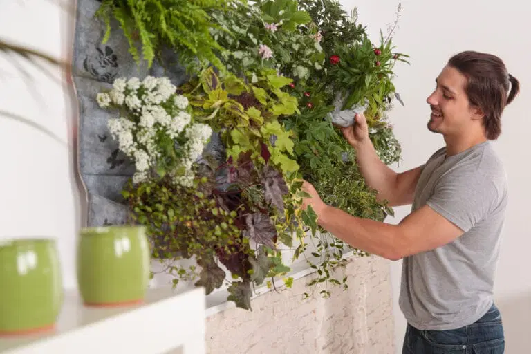 How to Design and Install a Living Plant Wall That Thrives