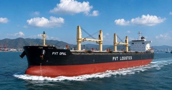 PVTrans nâng cấp đội tàu Ultramax để bứt phá cạnh tranh toàn cầu
