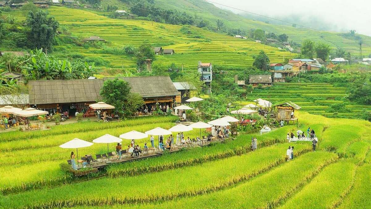 Mùa vàng Lào Cai tháng 9: Từ ruộng bậc thang đến dù lượn Tú Lệ