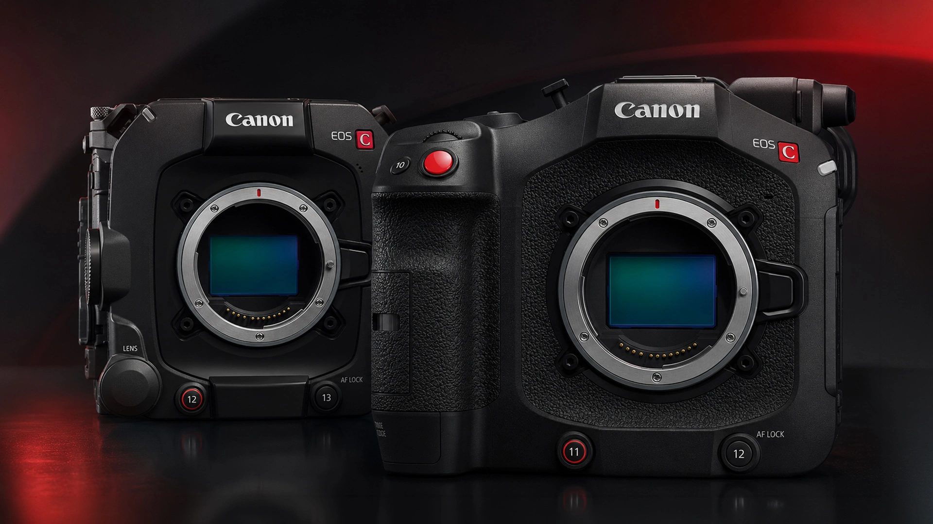 Canon’s Cinema Exposure Mode Is a Quiet Revolution for Dynamic Range