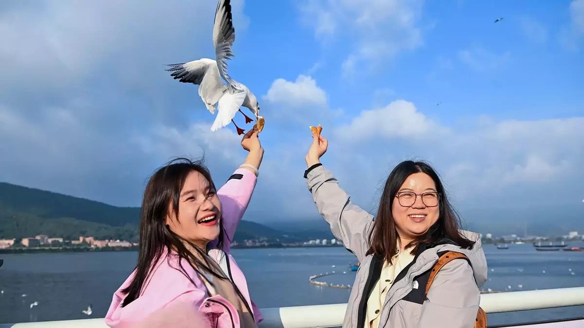 Hướng dẫn quá cảnh Trung Quốc 240 giờ và vào Hải Nam không cần visa