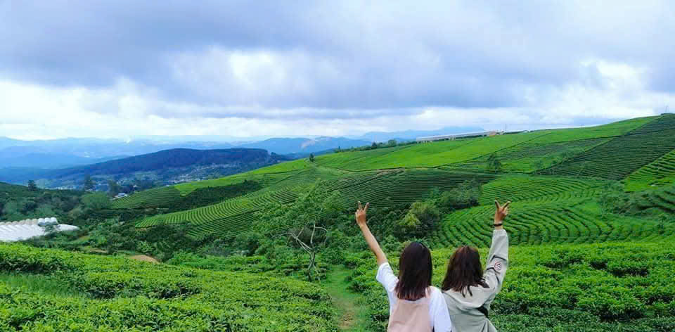 Nghiện mạng xã hội ở trẻ em: Khi thế giới ảo bào mòn sức khỏe tâm thần