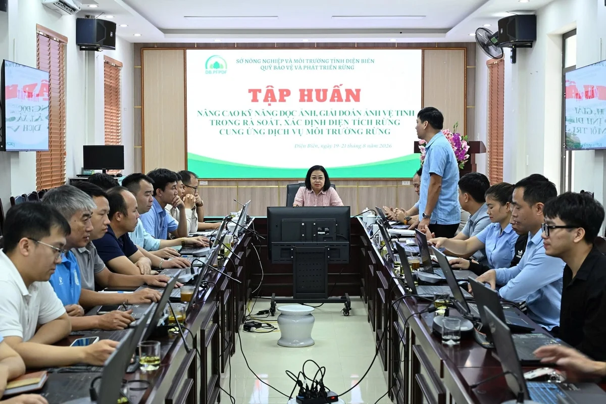 Flycam và ảnh vệ tinh: chìa khóa mới cho quản lý dịch vụ môi trường rừng