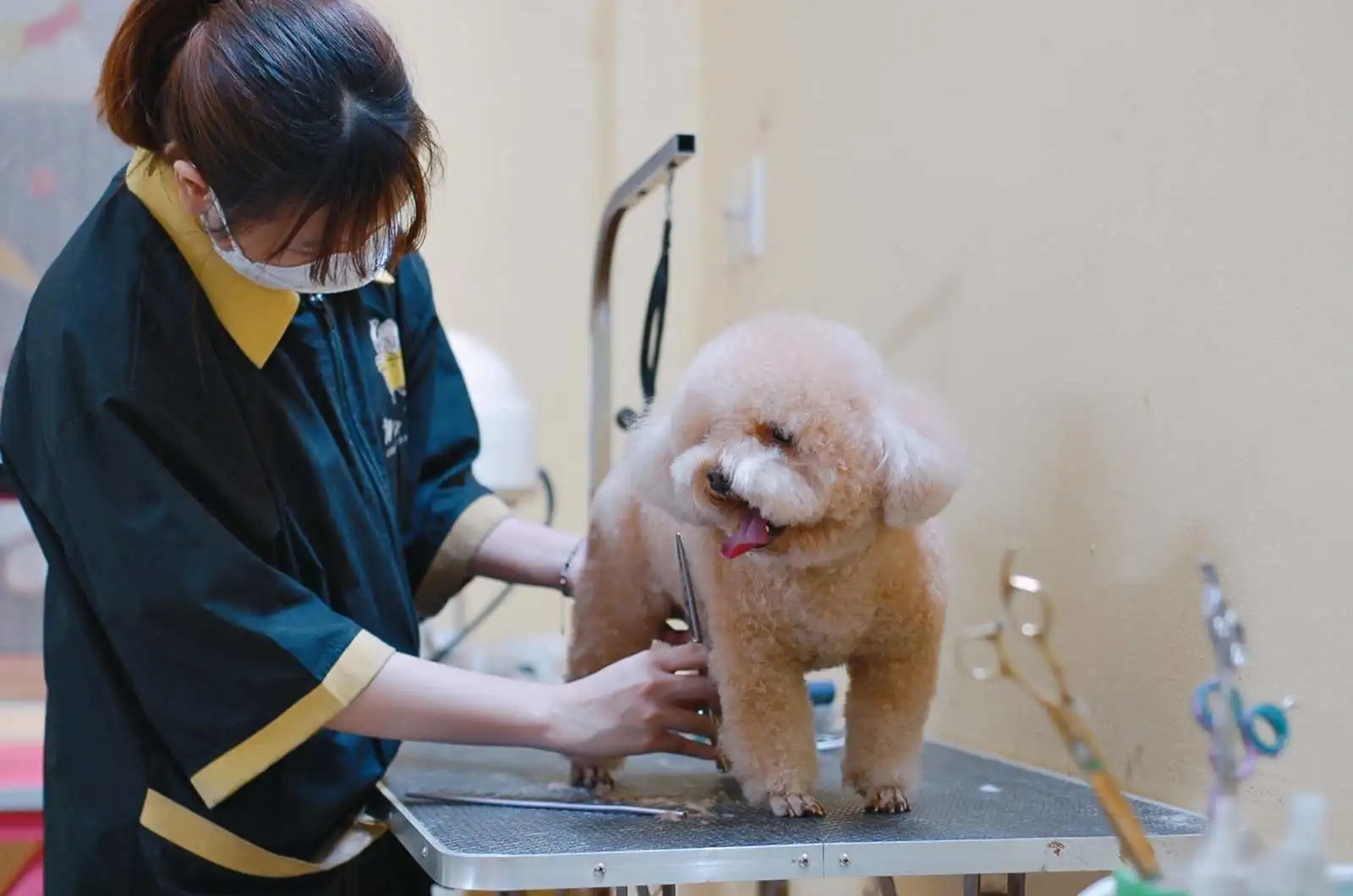 Chủ nuôi chi nhiều hơn nhưng mua ít: thị trường thú cưng đang sang trang