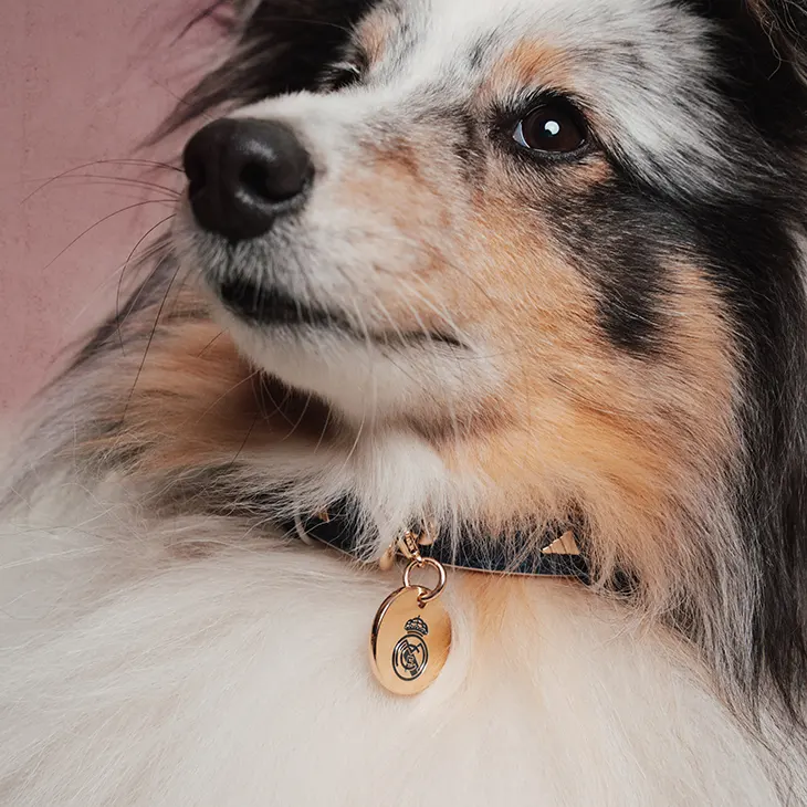 Luxury Pet Fashion Brands Are Going Mainstream—What Stylish Owners Need to Know