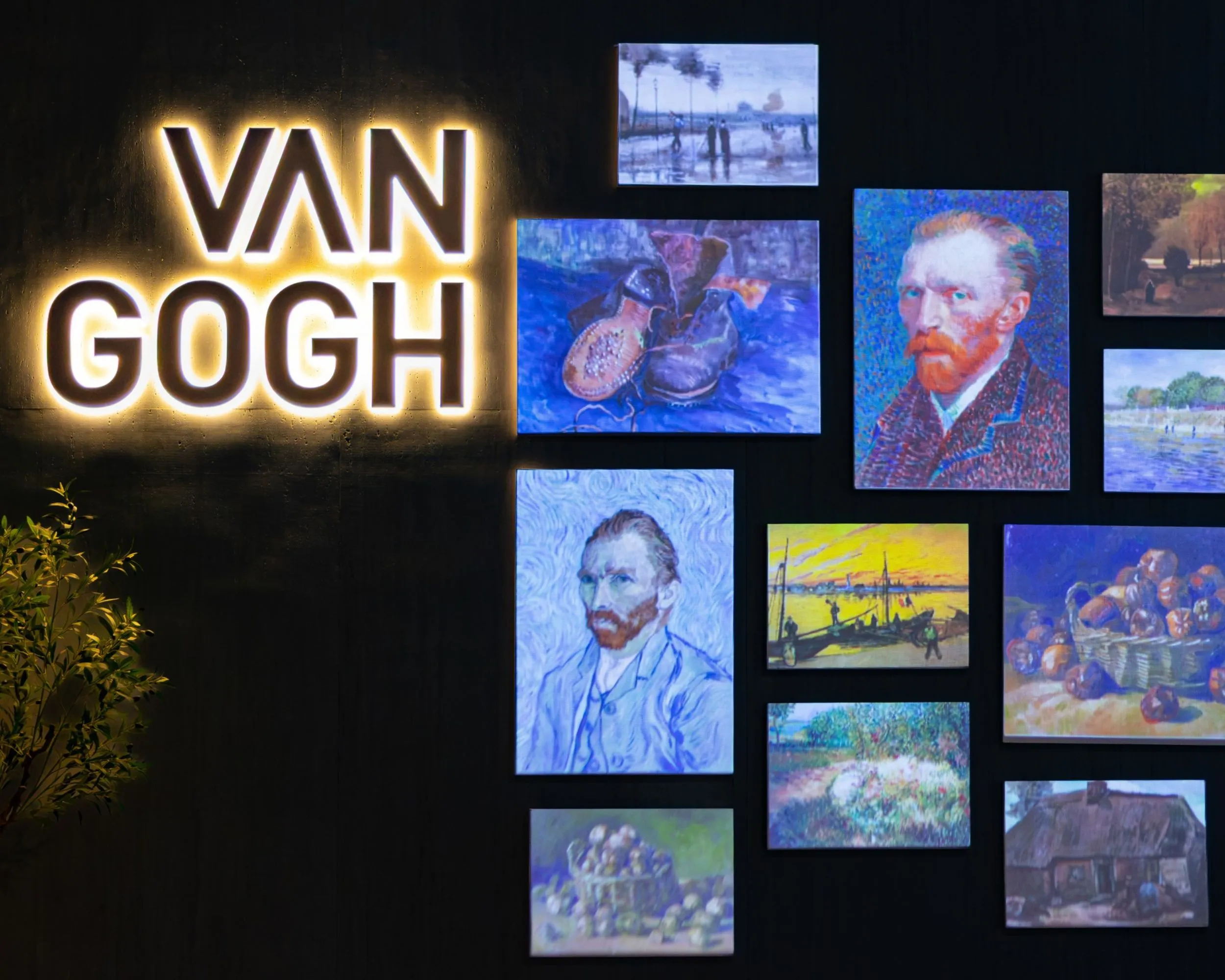 Từ khung tranh đến không gian sống động: Van Gogh bước ra ngoài bức họa