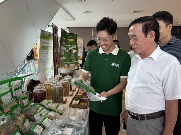 Y học cổ truyền Việt Nam trước bước ngoặt hệ sinh thái số