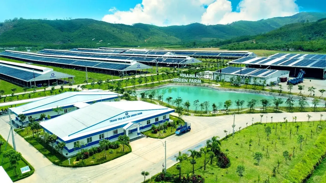 Thương hiệu mỹ phẩm nội địa châu Á: Từ sân nhà đến thế thượng phong