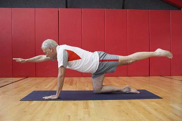 Bird Dog and Bear Plank: Two Bodyweight Moves for Deep Core Stability