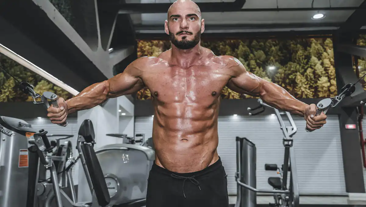 Beginner’s Back Routine: Machines vs Free Weights for a V-Shaped Physique
