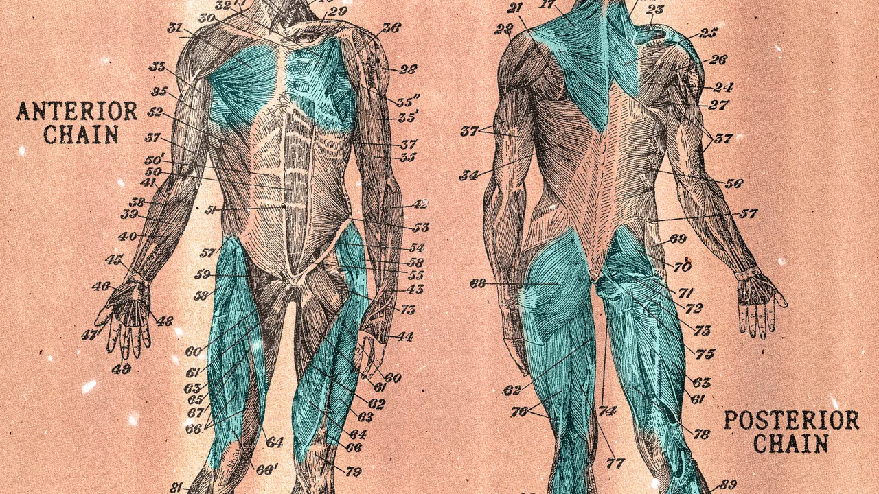 Cổ rùa từ điện thoại: Dấu hiệu nhận biết và cách tự khắc phục