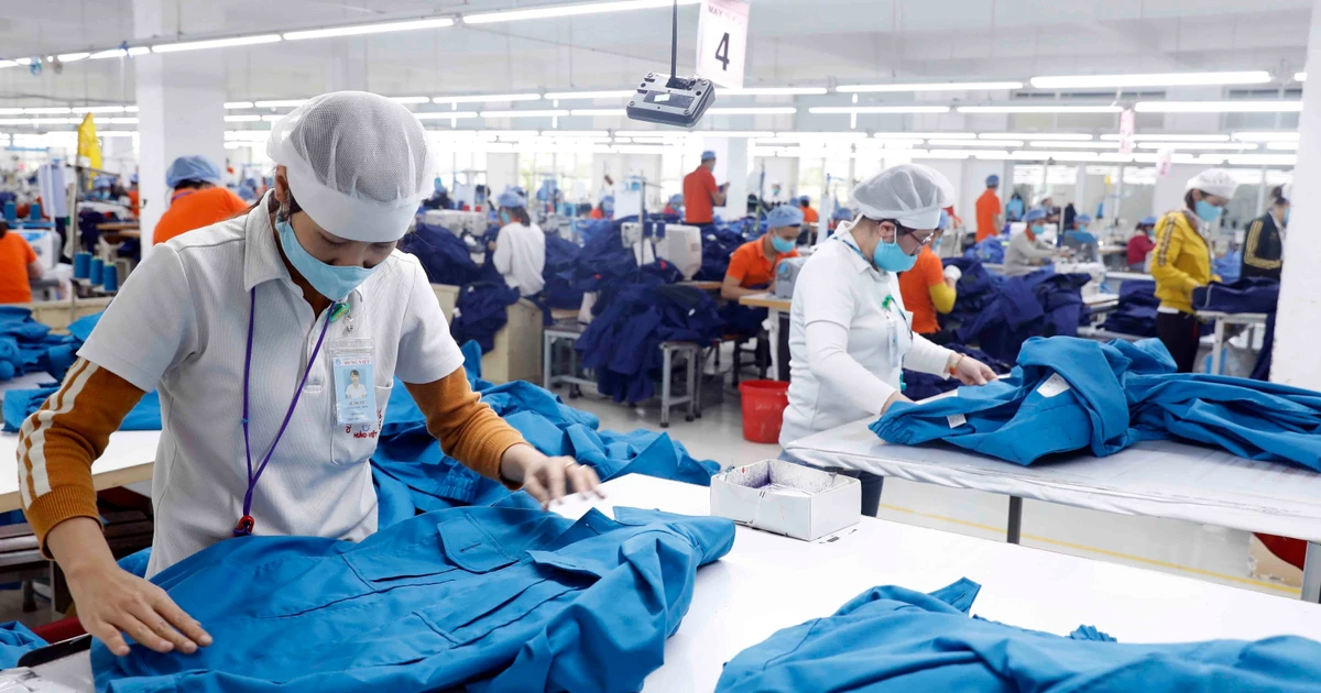Điện thoại, linh kiện và thủy sản: Ba mũi nhọn mới của hàng Việt tại Nam Mỹ