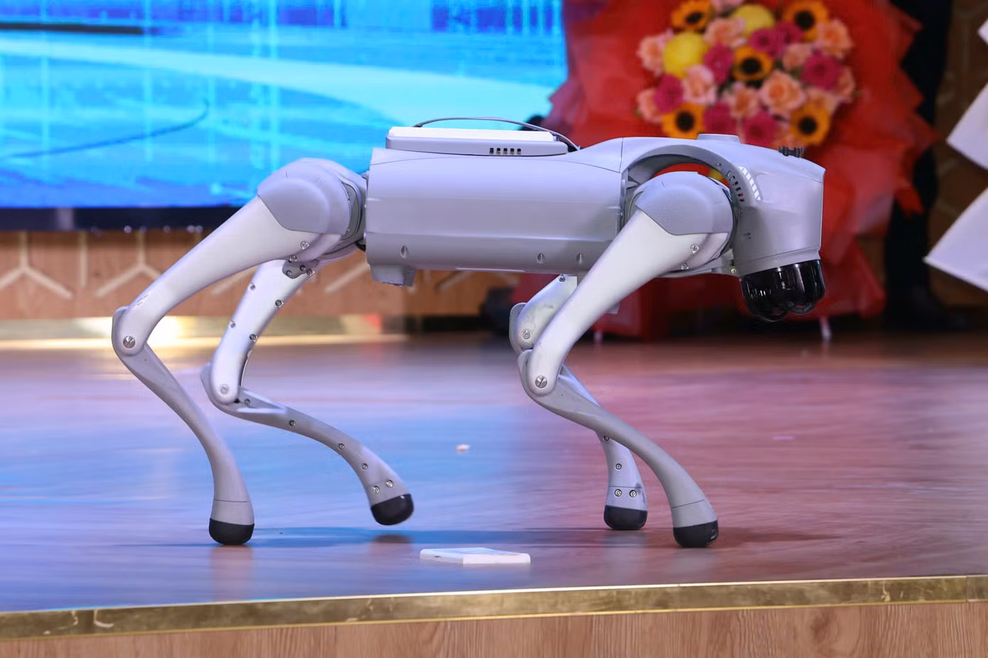 Đồng bằng sông Cửu Long mở viện nghiên cứu robot AI: tham vọng thành trung tâm tự động hóa mới