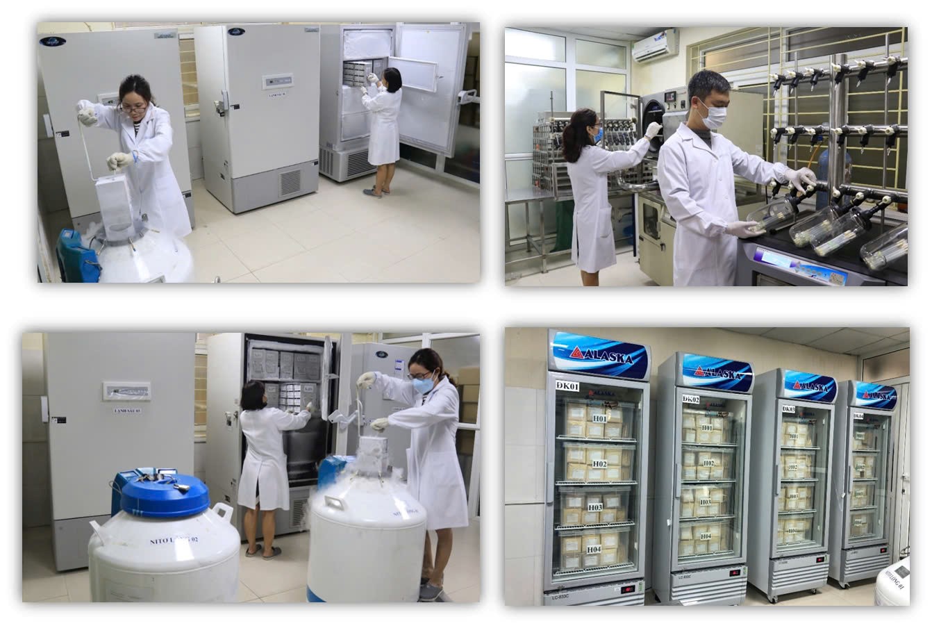 Nữ trí thức trong phòng thí nghiệm: từ đề tài khoa học đến sức khỏe cộng đồng
