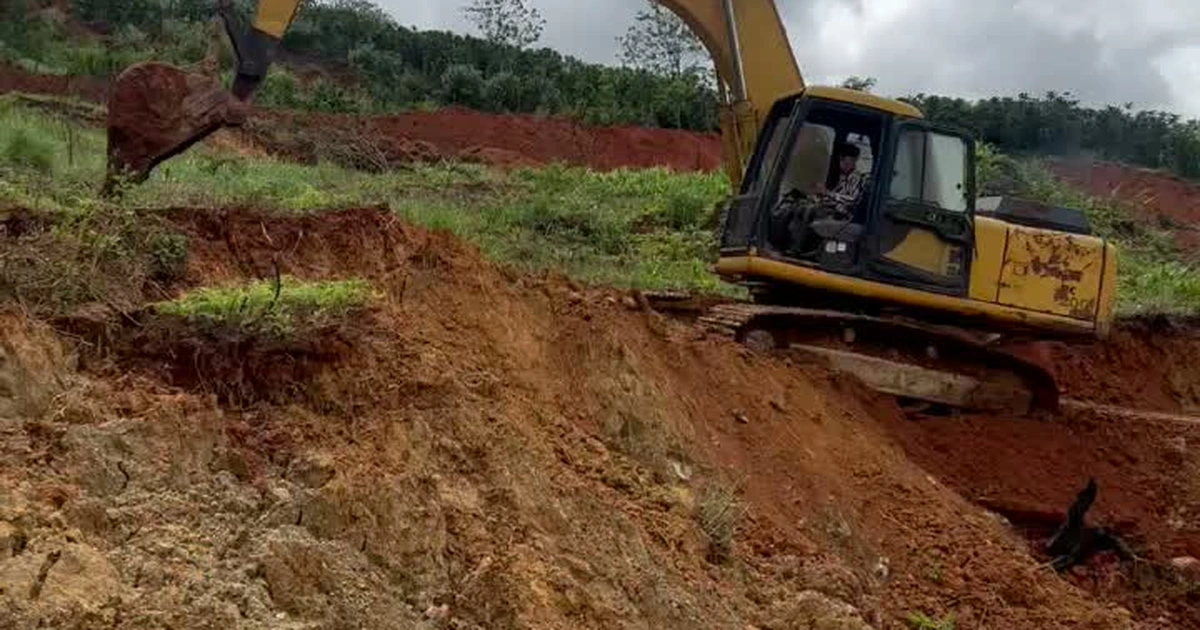 Nha Trang - Đà Lạt: Tuyến xe buýt mới có đủ để tái định nghĩa kết nối vùng?
