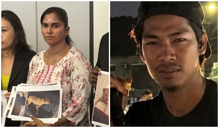 Keselamatan Anjing Peliharaan: Ancaman Tersembunyi Yang Pemilik Tak Boleh Abaikan