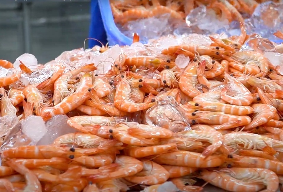 Xuất khẩu tôm Việt Nam tăng nhưng Mỹ ngày càng khó tính