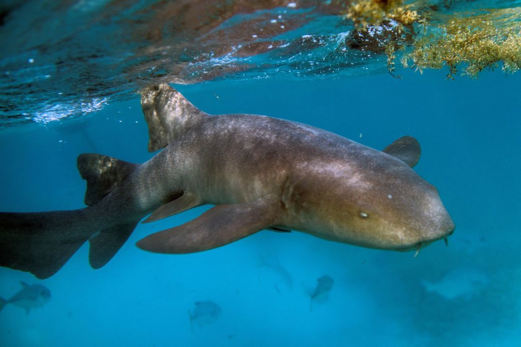 Why Photographers Are Taking Deadly Risks for the Shot—and How to Stay Safe