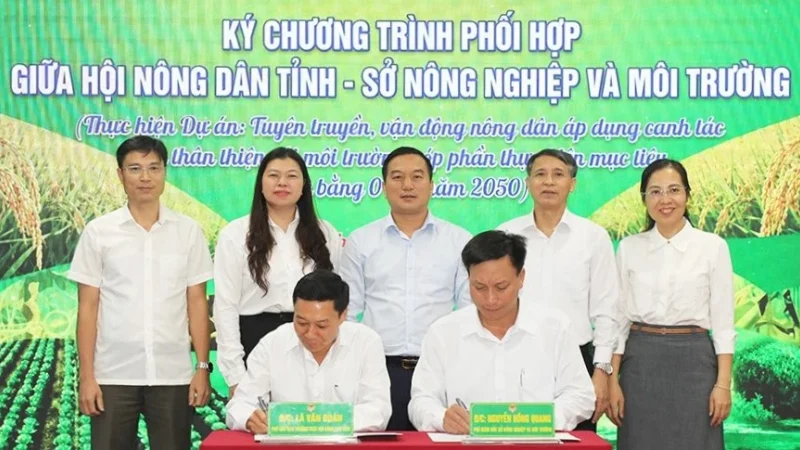 Bắc Ninh mở rộng canh tác lúa bền vững: từ mô hình thử nghiệm đến chuyển đổi quy mô lớn