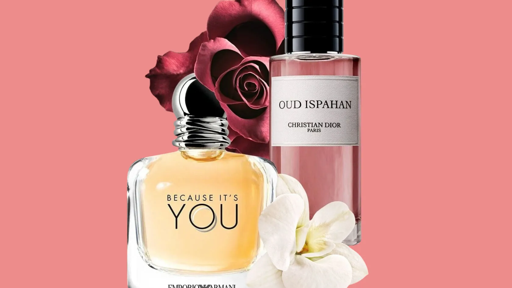 Fragrances That Stop Strangers in Their Tracks