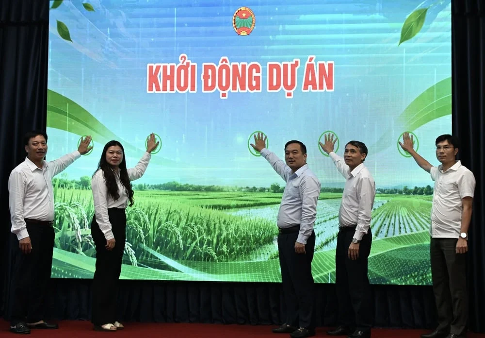 Bắc Ninh mở rộng canh tác lúa bền vững: từ mô hình thử nghiệm đến chuyển đổi quy mô lớn