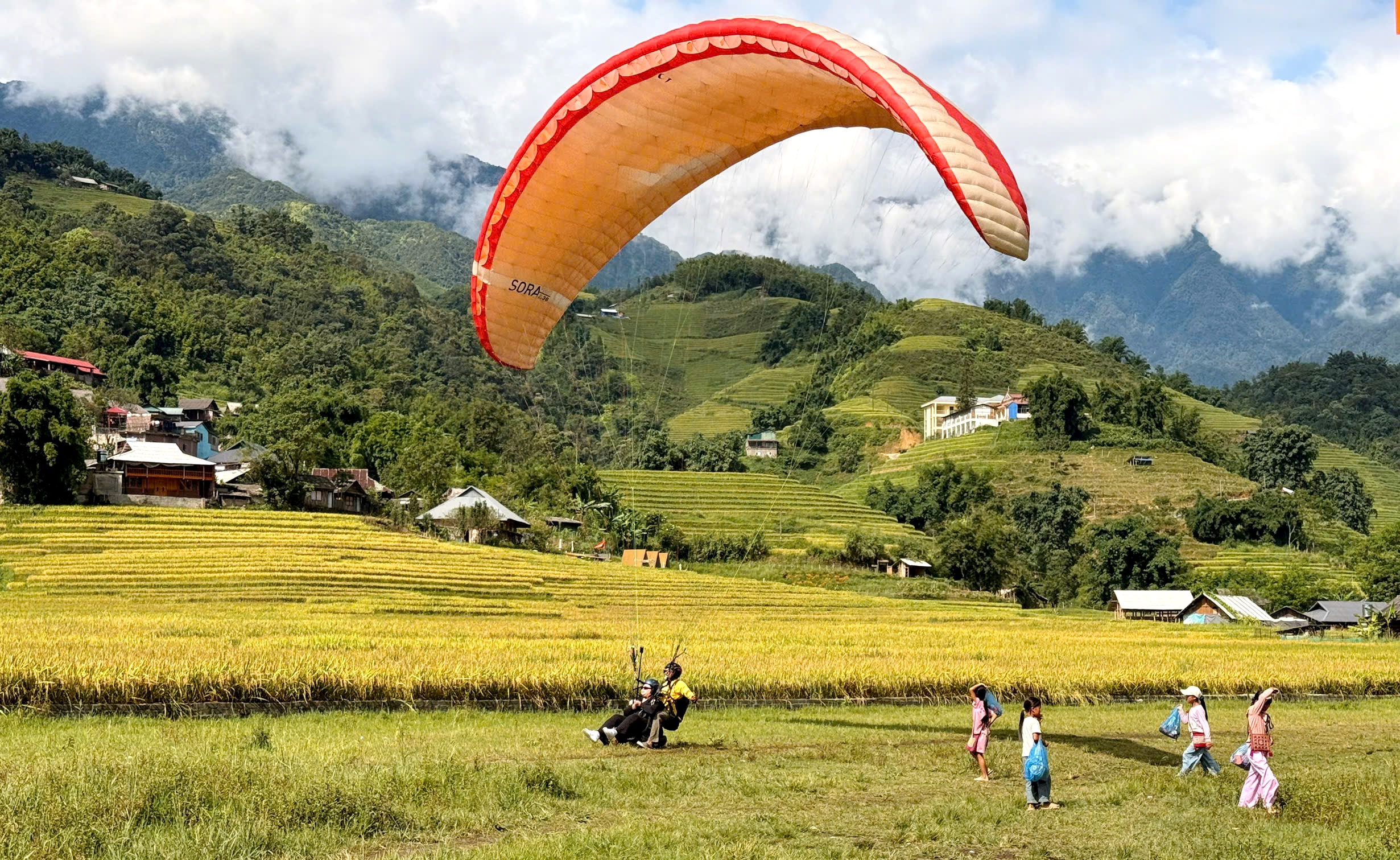 Mùa lúa chín Sa Pa: từ lối mòn trekking đến dù lượn Mường Hoa