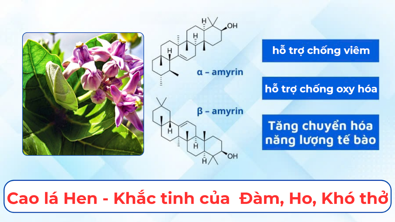 Trà xanh có làm sạch phổi hay chỉ là niềm tin đẹp?