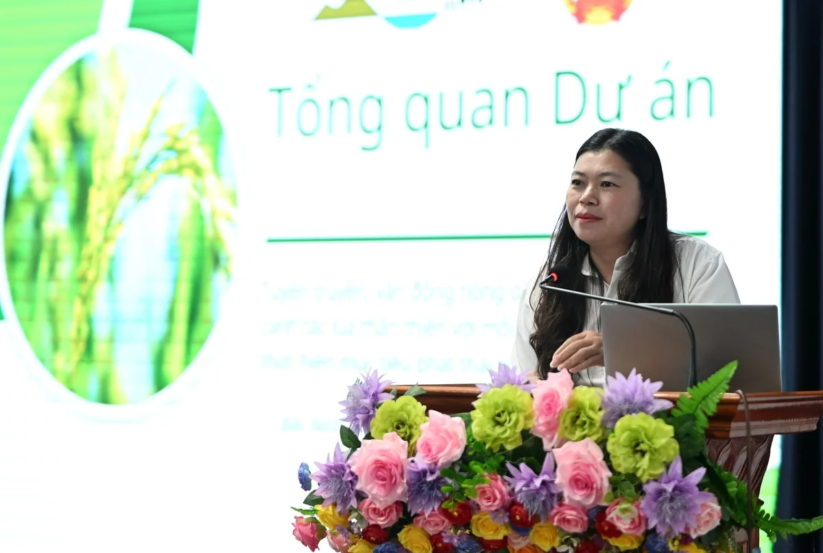 Bắc Ninh mở rộng canh tác lúa bền vững: từ mô hình thử nghiệm đến chuyển đổi quy mô lớn