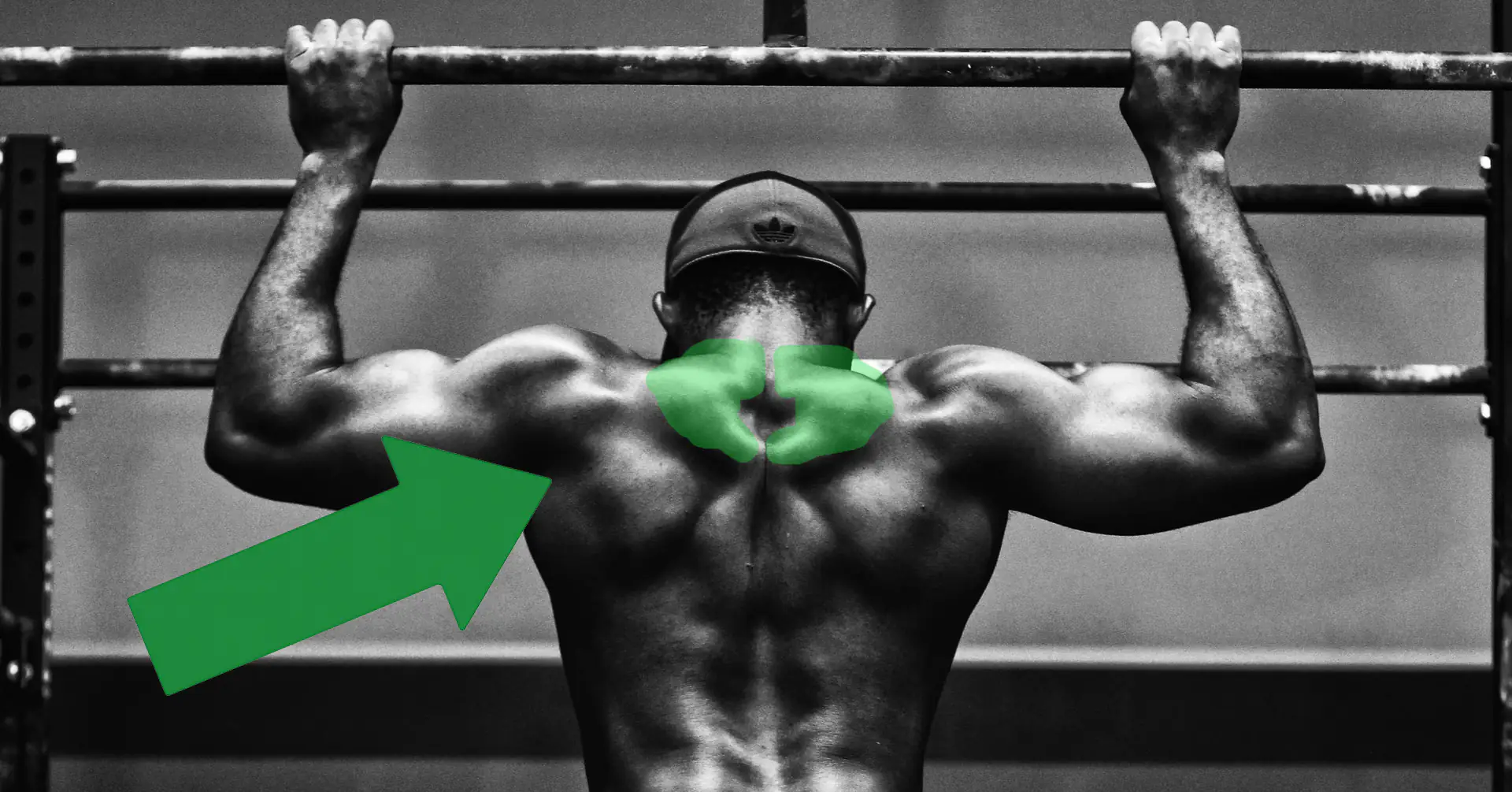 Latihan Bahu Lebar dan Trap Besar Tanpa Pull-Up