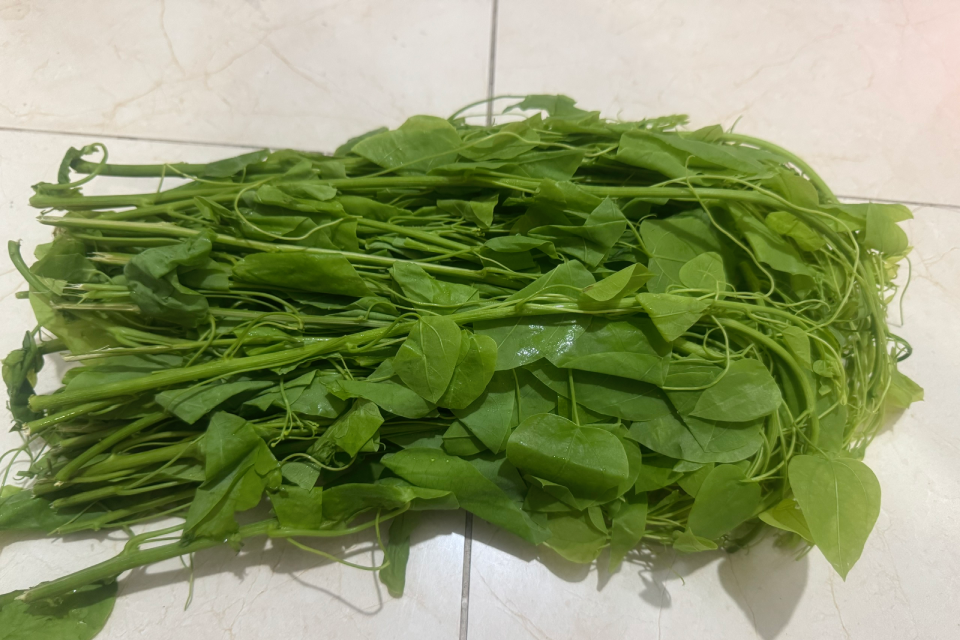 Những cây mọc hoang và rau bếp giúp kiểm soát đường huyết, tăng miễn dịch