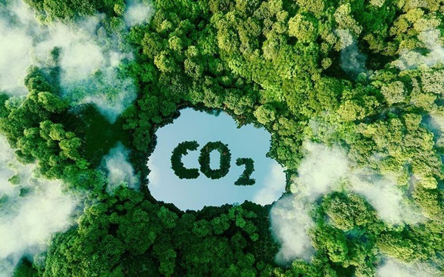 Thị trường carbon Việt Nam: 510 triệu tấn “đóng băng” vì thiếu thanh khoản