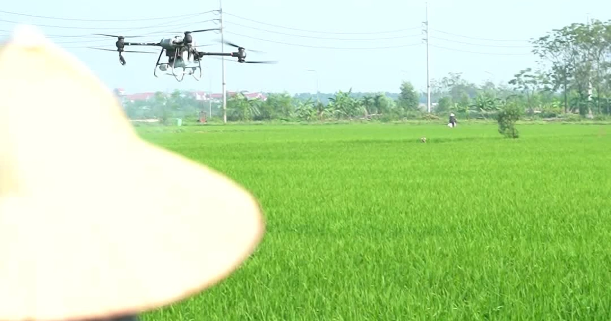 Drone phun thuốc trừ sâu đang tái định nghĩa hiệu suất canh tác