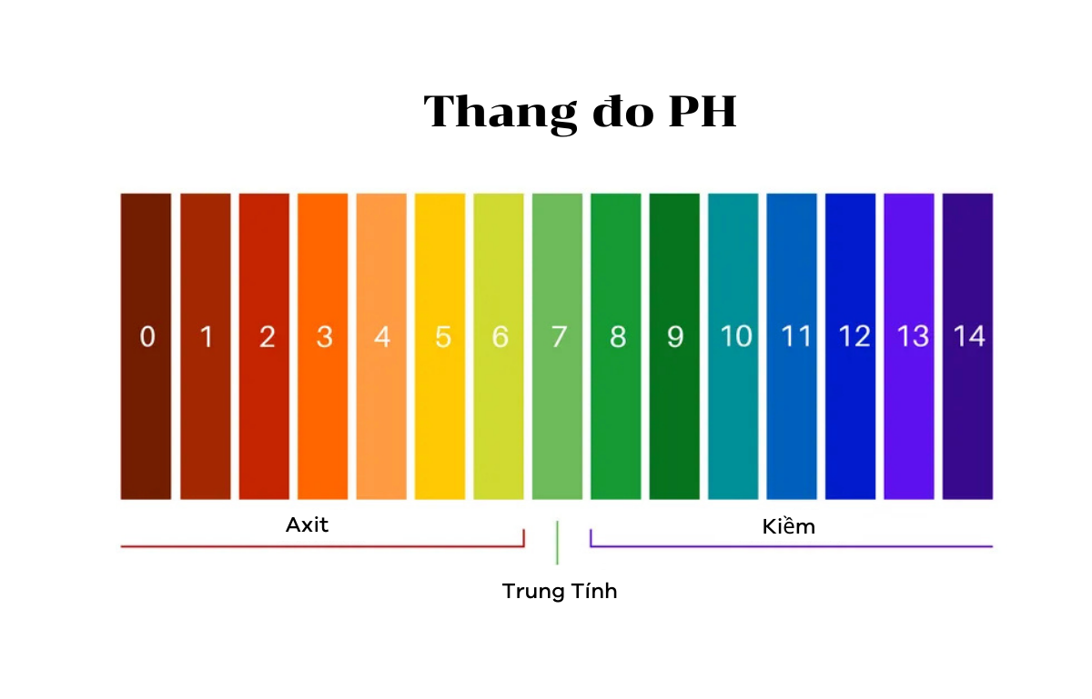 5 kỹ thuật giữ màu rau củ tự nhiên nhờ kiểm soát nhiệt độ và pH