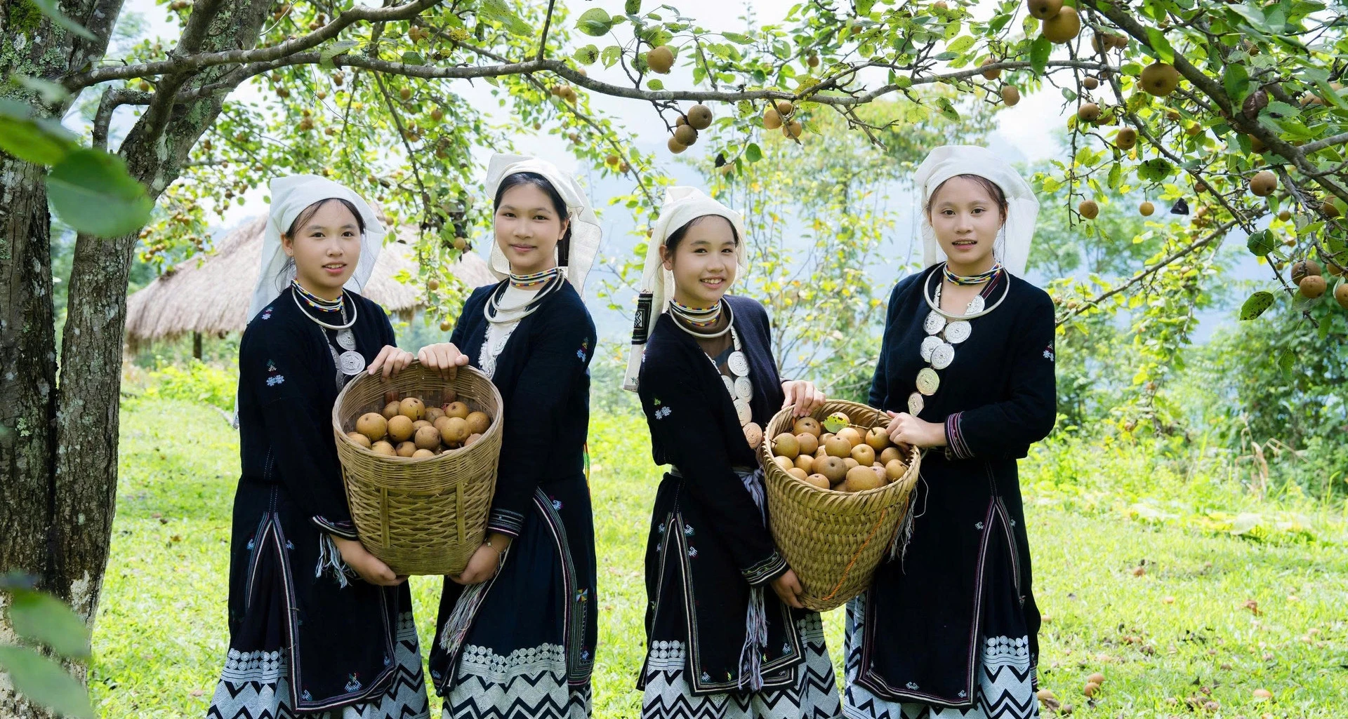 Những điểm đến miền Bắc đáng ghé dịp tháng 9: Hái lê, săn mây và khám phá đảo hoang sơ