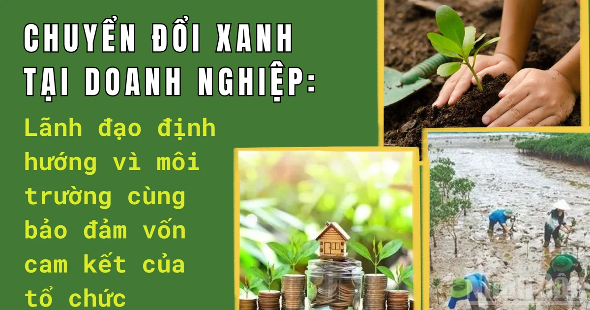 Từ tập đoàn đến SME: mô hình chuyển đổi xanh có thể nhân rộng