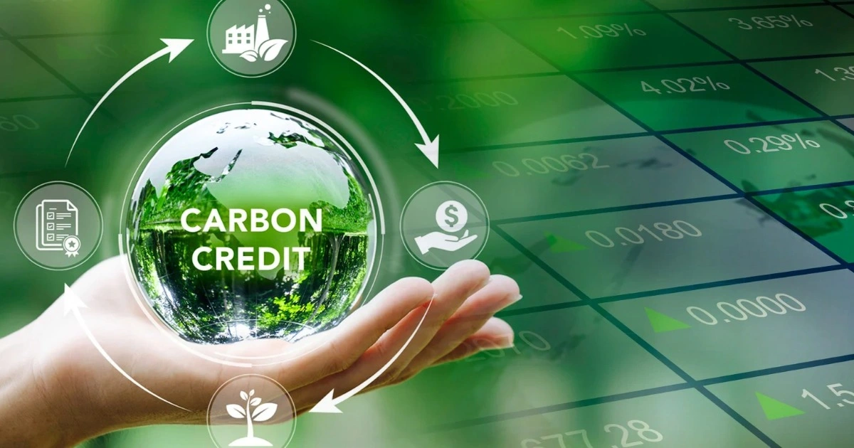 Thỏa thuận Điều 6 với Singapore: Bước ngoặt thị trường carbon Việt Nam