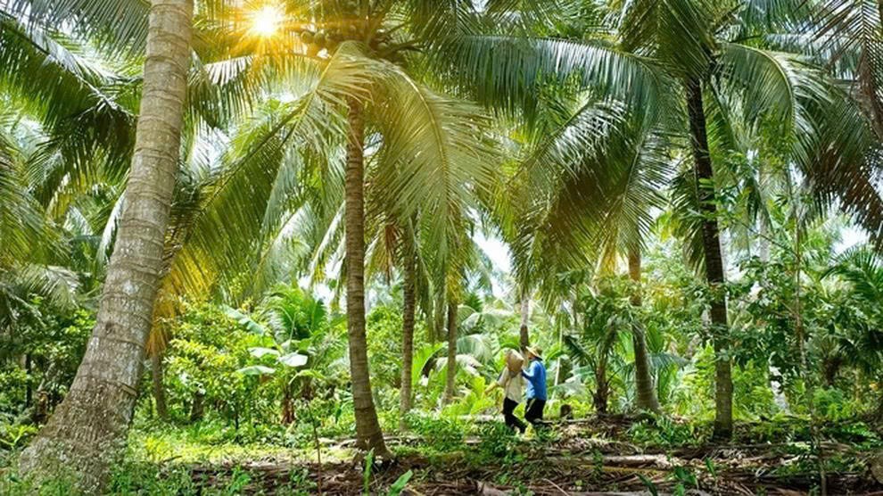 Những người thợ giữ lửa và hành trình bảo tồn công thức đặc sản truyền thống