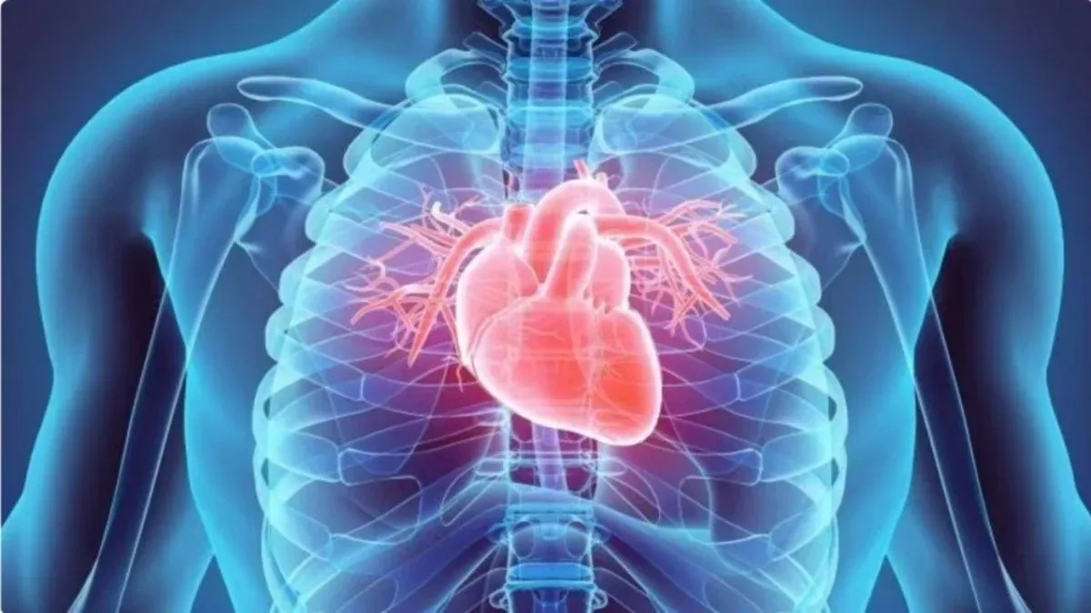 Bệnh tim mạch có liên quan đến nguy cơ ung thư cao hơn ở nam giới