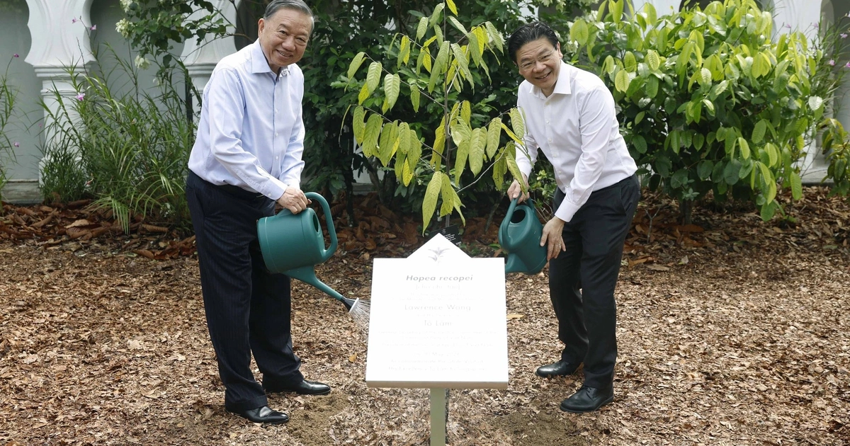 Việt Nam-Singapore mở rộng hợp tác công nghệ cao và năng lượng xanh
