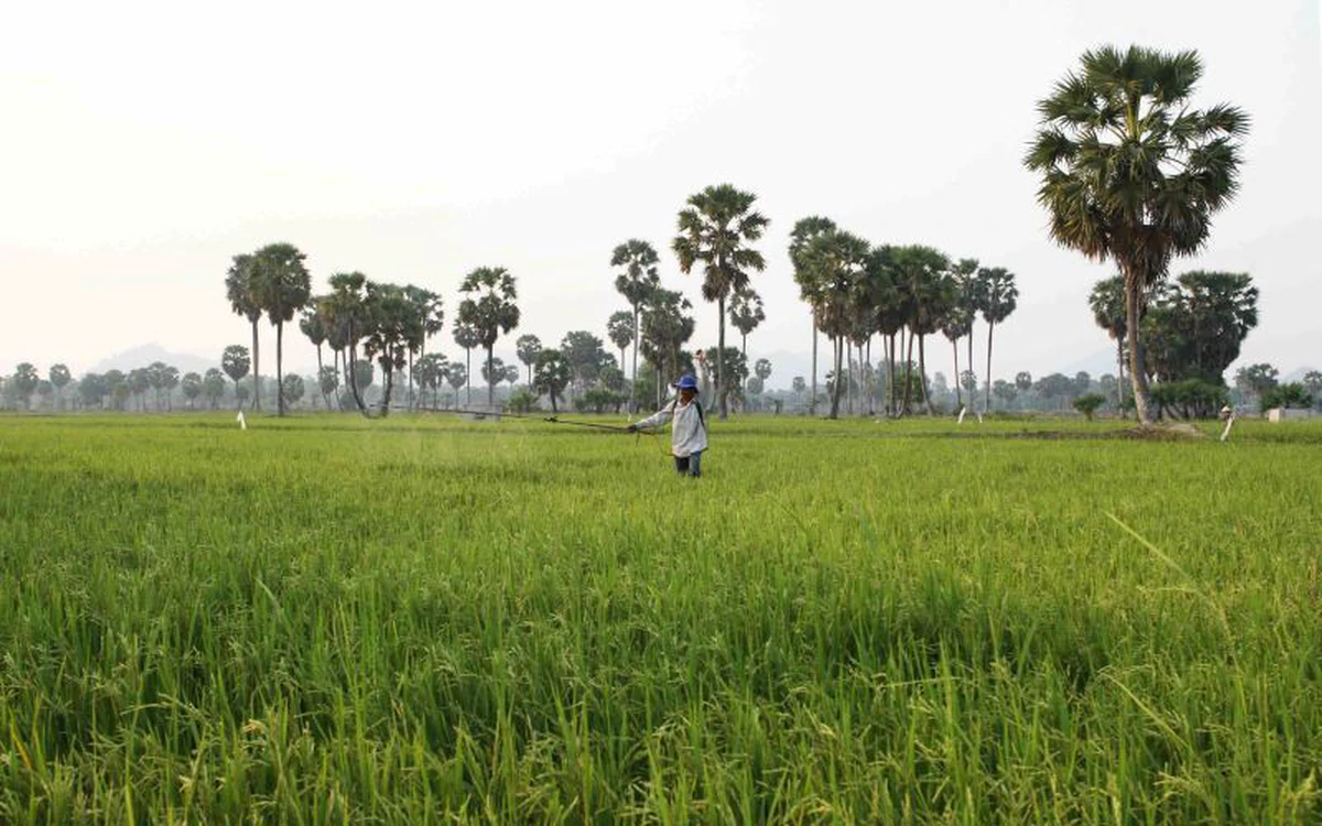 Công nghệ sinh học đang biến nông nghiệp Việt Nam như thế nào