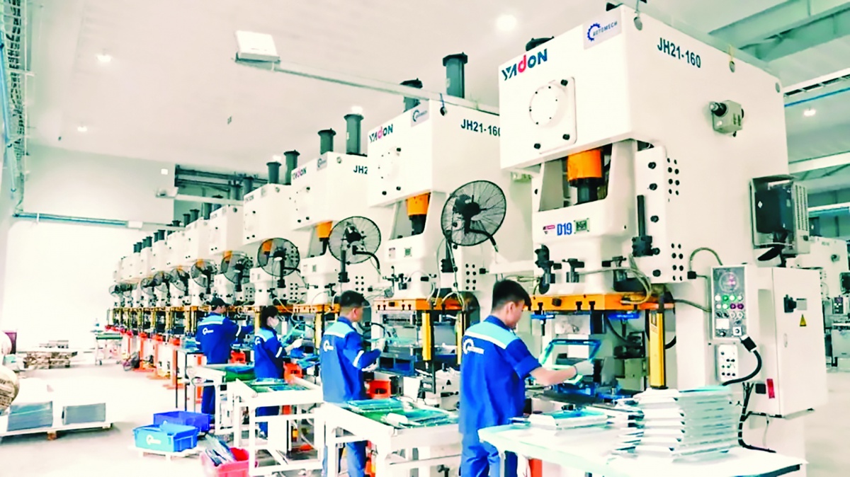 Hệ sinh thái doanh nghiệp tư nhân: Động lực kéo cả chuỗi giá trị