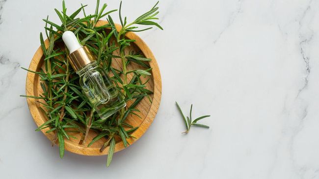 Lá tía tô và nước hương thảo: đâu là lựa chọn tốt hơn cho mái tóc?